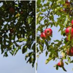 Poza facuta fara blit si cu blit