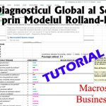 MacrostandarD Business Analyst – Tutorial Modelul Rolland-Berger