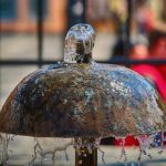 Fantana – Samyang 85mm F1.8 ED UMC CS la F4