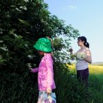 La cules de flori de soc