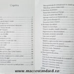 Cuprins Planul pentru Romania de Sebastian I. Burduja