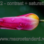 Poza realizata cu obiectivul Cosinon-S 50mm F2