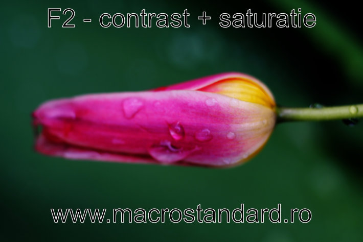 Poza realizata cu obiectivul Cosinon-S 50mm F2 (saturatie si contrast adaugat in editare)