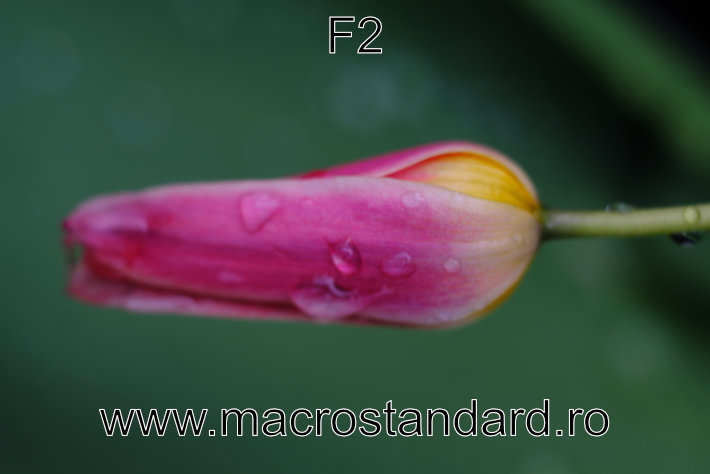 Poza realizata cu obiectivul Cosinon-S 50mm F2