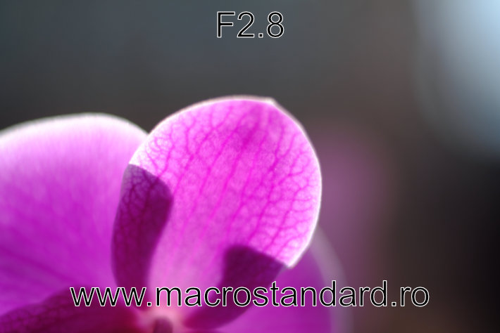 Poza realizata cu obiectivul Cosinon-S 50mm F2 la diafragma de F2