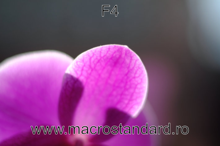 Poza realizata cu obiectivul Cosinon-S 50mm F2 la diafragma de F4