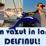Film MARE 2021 Delfinul din Mangalia