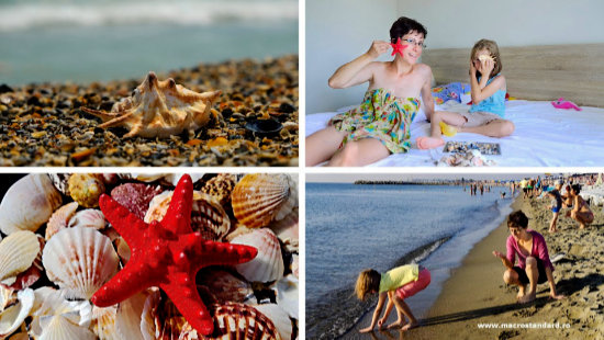 Sirenele aduna scoici de pe plaja din Eforie Nord, fac coliere si mananca peste