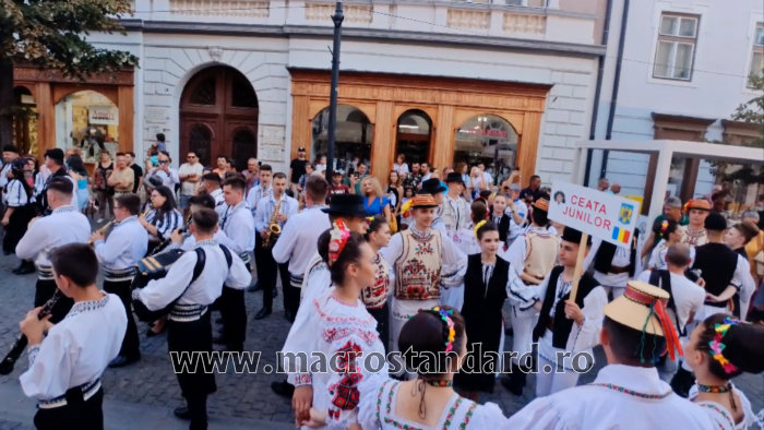 Ceata junilor Sibiu