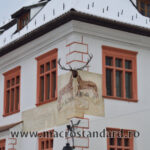 Casa cu Cerb