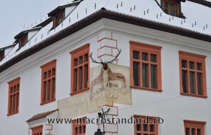 Casa cu Cerb