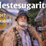 Târgul Meşteşugarilor, Meșterim - Șezătoare urbană Sighisoara