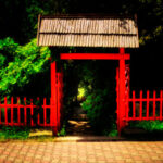 Film poze Gradina Botanica Alexandru Borza Cluj-Napoca