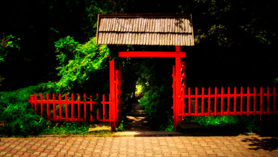 Slideshow cu flori, plante exotice si cactusi - Gradina Botanica Alexandru Borza Cluj-Napoca