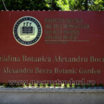 Gradina Botanica Alexandru Borza Cluj-Napoca
