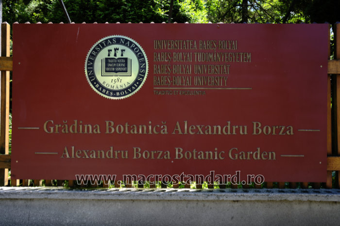 Gradina Botanica Alexandru Borza Cluj-Napoca