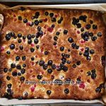 Placinta din faina de nuca de cocos si afine
