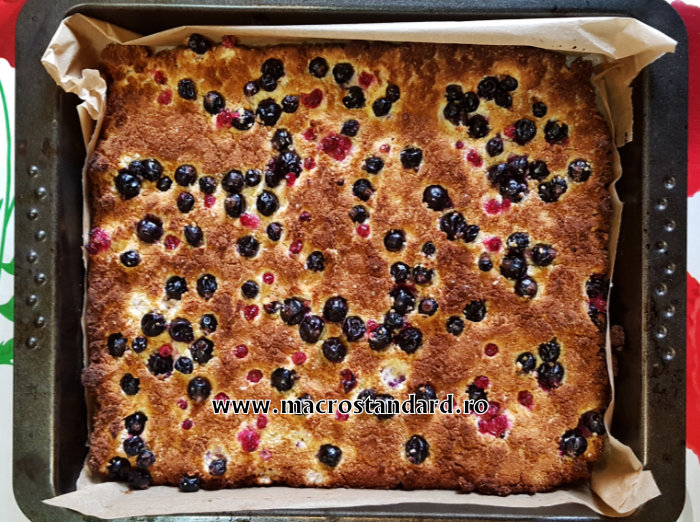 Placinta din faina de nuca de cocos si afine