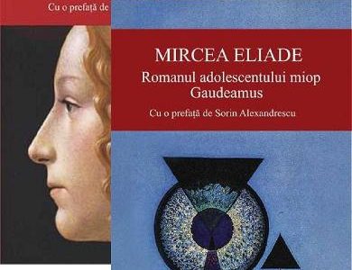 Pachet Nunta in cer + Romanul adolescentului miop Mircea Eliade