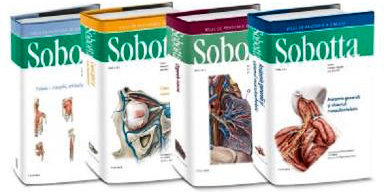 Pachet Sobotta. Atlas de anatomie a omului Friedrich Paulsen, Jens Waschke