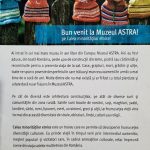 Calea minorităților etnice