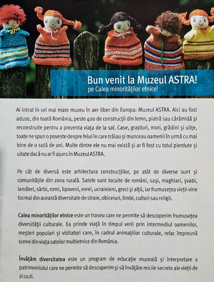 Calea minorităților etnice