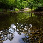 Lacul Ursu Sovata