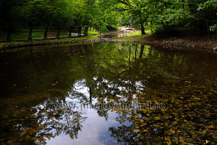 Lacul Ursu din Sovata