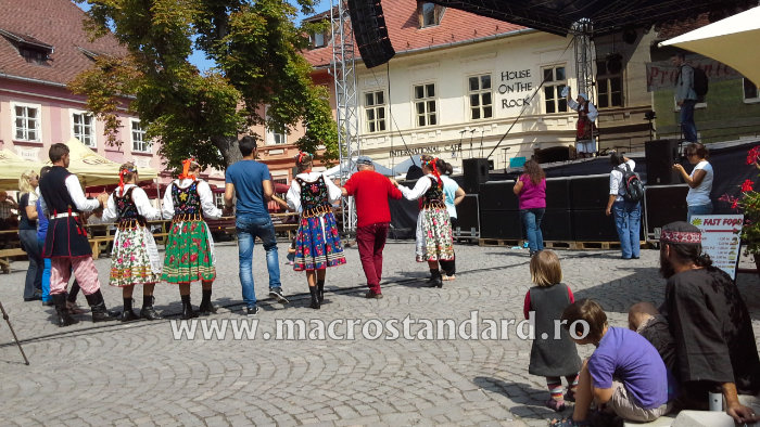 ProEtnica anul 2014